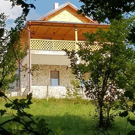 Neom, Sarajevo * فوغوشتشا